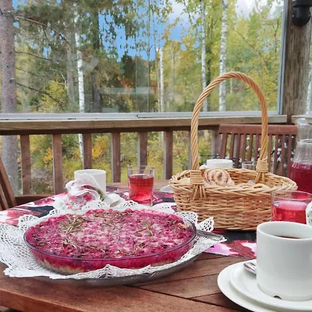 Niemenkaerki- Vaikon Loma 8 By Interhome Dom wakacyjny